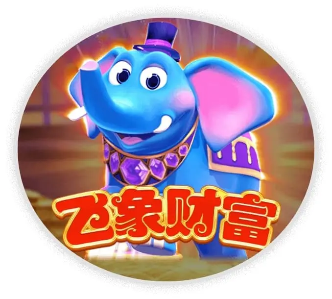飞象财富